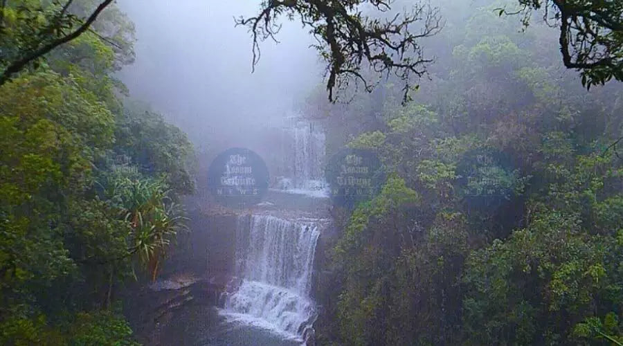 Honeymooner Murdered in Meghalaya; Wife Still Missing