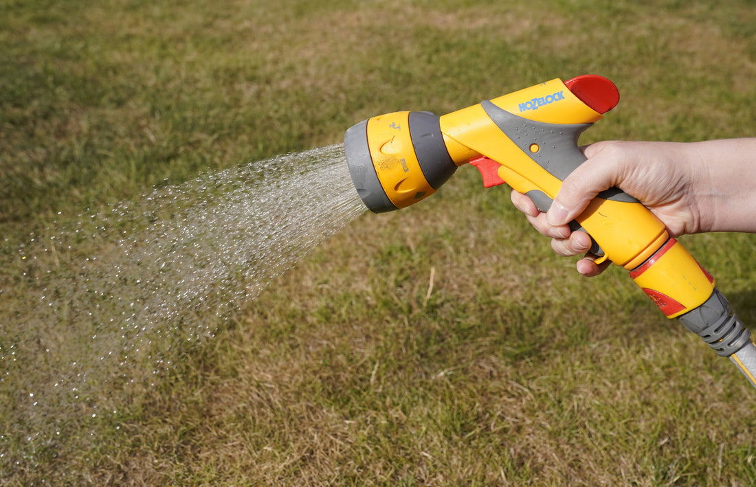 Thames Water Announces Hosepipe Ban Amidst Record Drought
