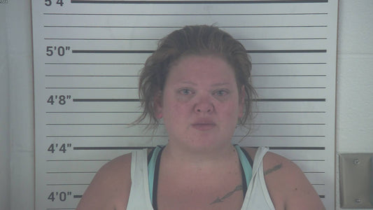 16 & Pregnant' Star Arrested for Manslaughter