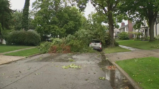 Detroit Metro Faces Power Outages Amid Severe Storms