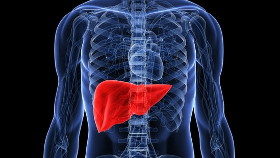 Common Foods That Can Harm Your Liver