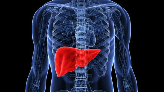 Common Foods That Can Harm Your Liver