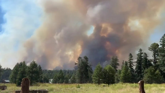Grand Canyon Lodge Destroyed, North Rim Closed Due to Wildfire