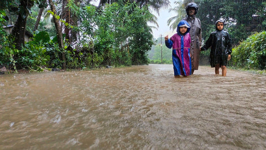 Karnataka Coast Hit by Heavy Rains, Red Alert Issued