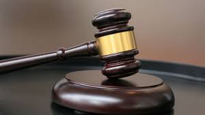 ** Bar Council Chief Defends Influencer's Arrest as Unjust